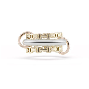 Hoorsenbuhs 18K Yellow Gold Microdame Mixed Ring at Meridian Jewelers.