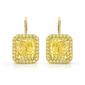 Rahaminov Diamonds 18K Yellow Gold Halo Melee Earrings at Meridian Jewelers
