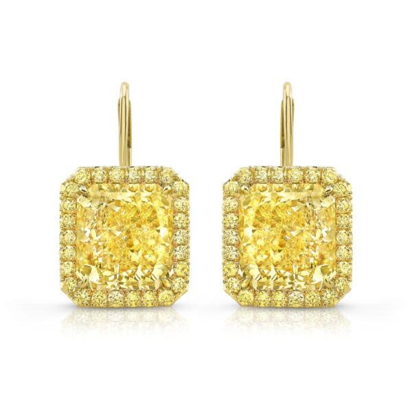 Rahaminov Diamonds 18K Yellow Gold Halo Melee Earrings at Meridian Jewelers