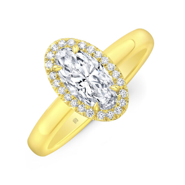 Rahaminov Diamonds Issuion Halo Ring at Meridian Jewelers