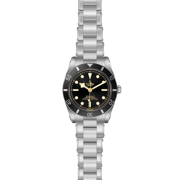 TUDOR Black Bay 54 at Meridian Jewelers