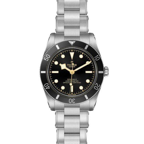 TUDOR Black Bay 54 at Meridian Jewelers