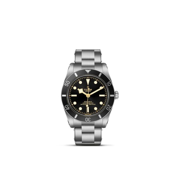 TUDOR Black Bay 54 at Meridian Jewelers