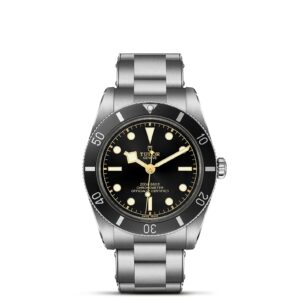 TUDOR Black Bay 54 at Meridian Jewelers