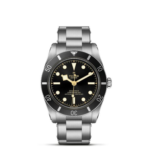 TUDOR Black Bay 54 at Meridian Jewelers