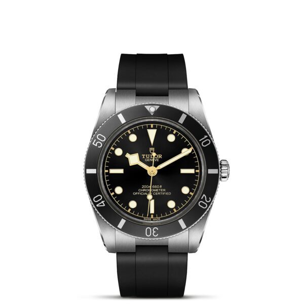 TUDOR Black Bay 54 at Meridian Jewelers