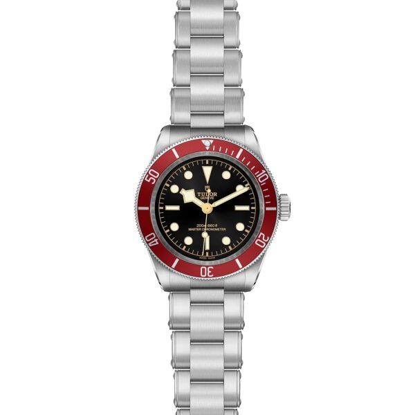 TUDOR Black Bay at Meridian Jewelers