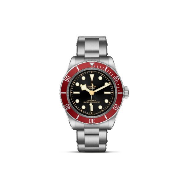 TUDOR Black Bay at Meridian Jewelers