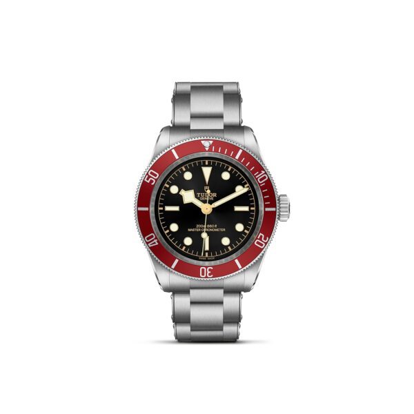 TUDOR Black Bay at Meridian Jewelers