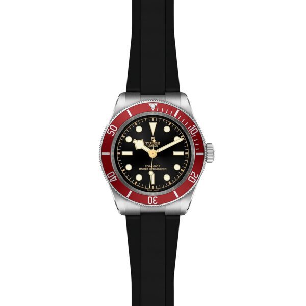 TUDOR Black Bay at Meridian Jewelers