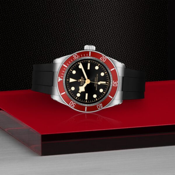 TUDOR Black Bay at Meridian Jewelers