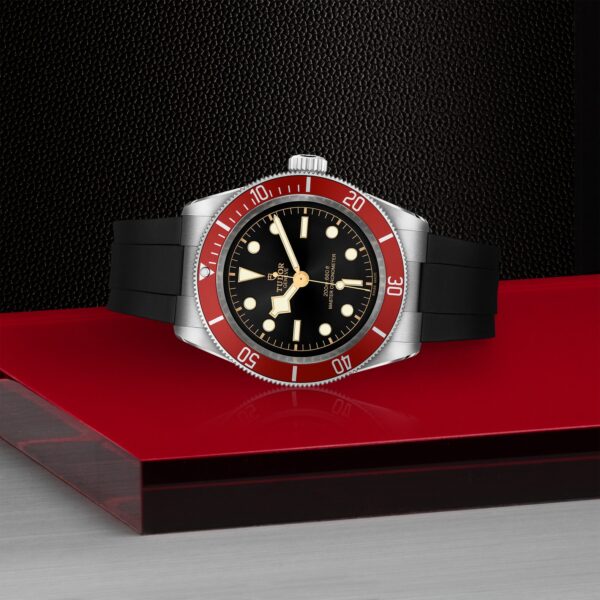 TUDOR Black Bay at Meridian Jewelers