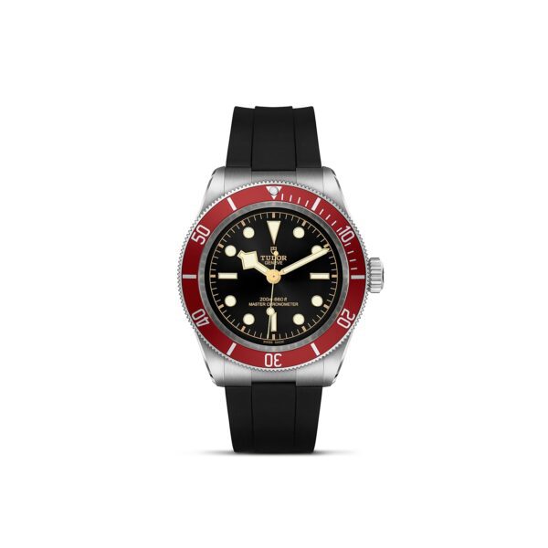 TUDOR Black Bay at Meridian Jewelers