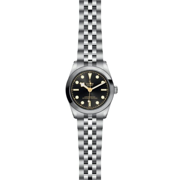 TUDOR Black Bay 31 at Meridian Jewelers