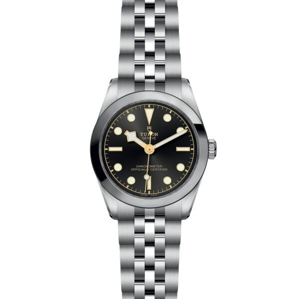 TUDOR Black Bay 31 at Meridian Jewelers