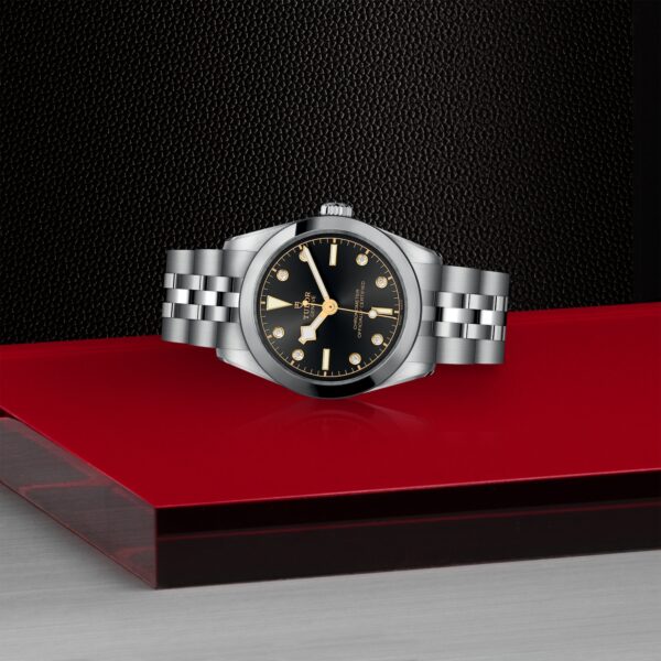 TUDOR Black Bay 31 at Meridian Jewelers