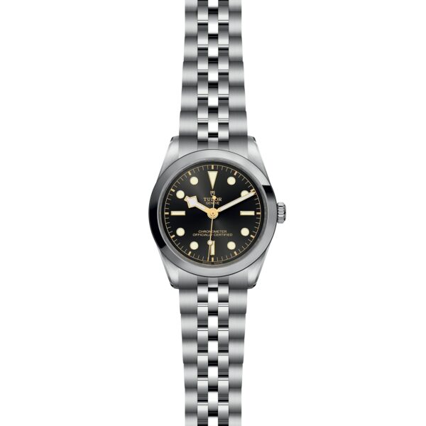 TUDOR Black Bay 36 at Meridian Jewelers