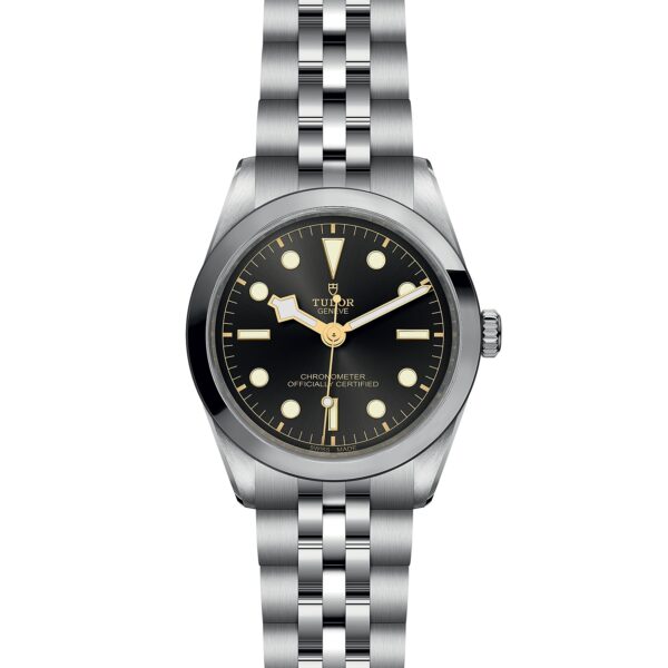 TUDOR Black Bay 36 at Meridian Jewelers