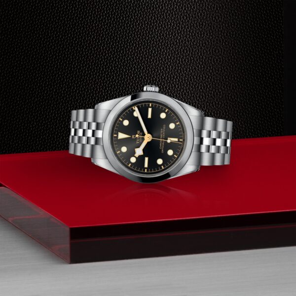 TUDOR Black Bay 36 at Meridian Jewelers