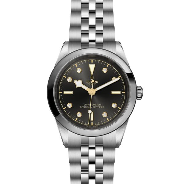 TUDOR Black Bay 41 at Meridian Jewelers