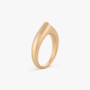 The Arch Courage Stripe Small Ring at Meridian Jewelers