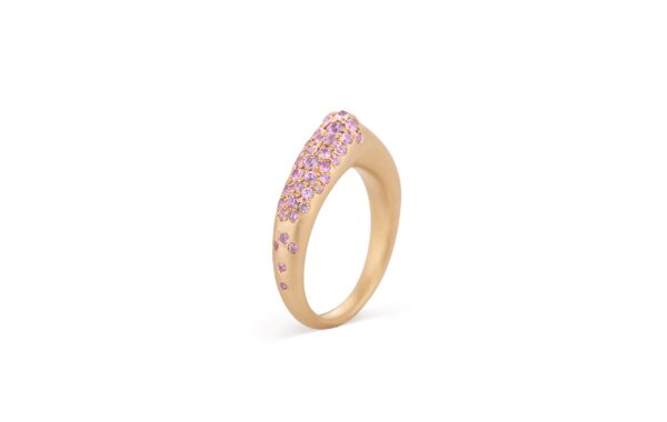 Nada Ghazal The Arch Self Love Stripe Small Ring at Meridian Jewelers