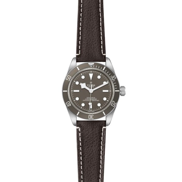 TUDOR Black Bay 58 925 at Meridian Jewelers