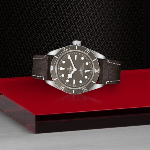 TUDOR Black Bay 58 925 at Meridian Jewelers