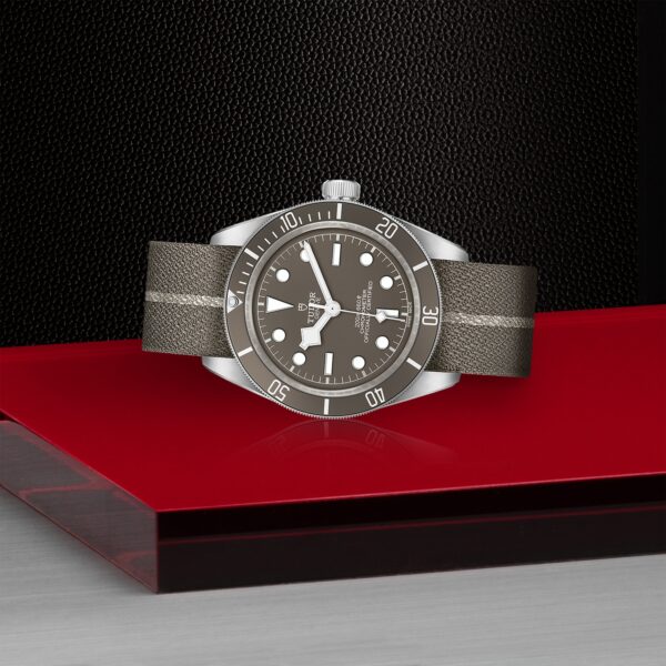 TUDOR Black Bay 58 925 at Meridian Jewelers