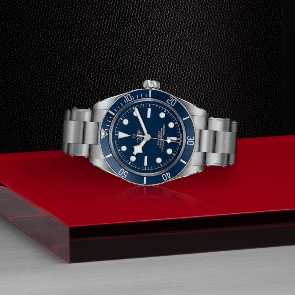 TUDOR Black Bay 58 at Meridian Jewelers