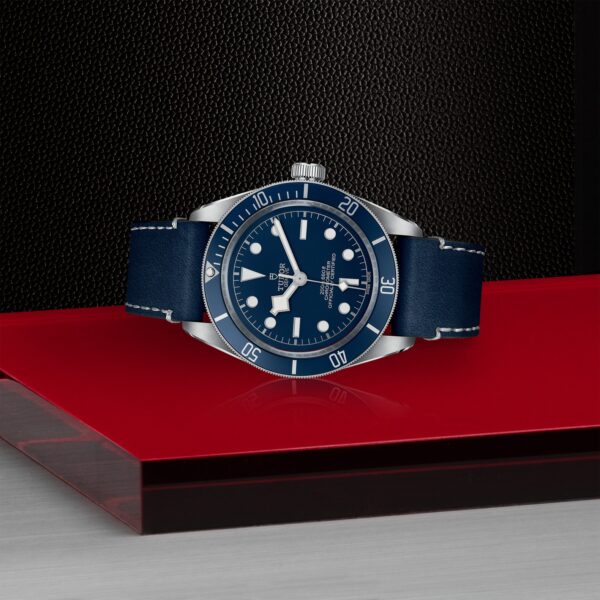 TUDOR Black Bay 58 at Meridian Jewelers