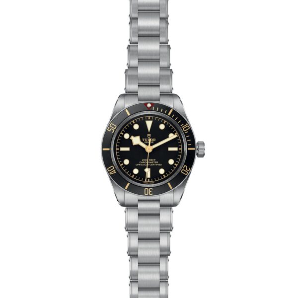 TUDOR Black Bay 58 at Meridian Jewelers