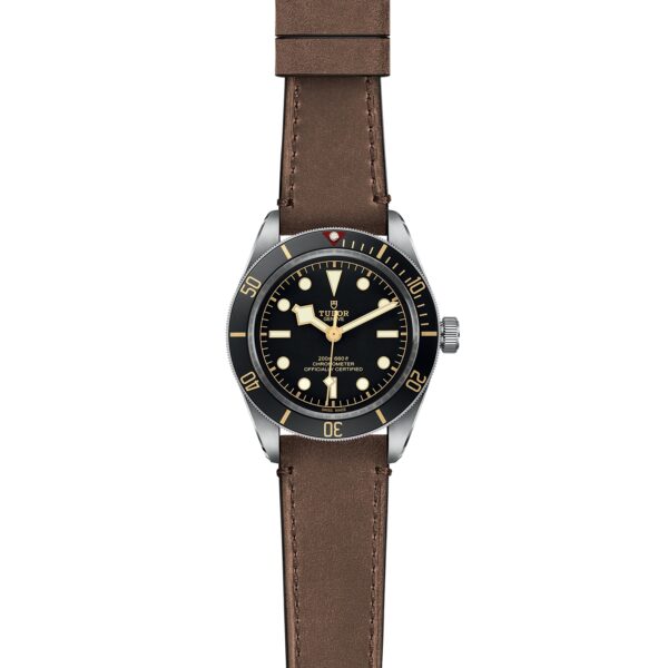 TUDOR Black Bay 58 at Meridian Jewelers