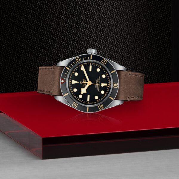 TUDOR Black Bay 58 at Meridian Jewelers