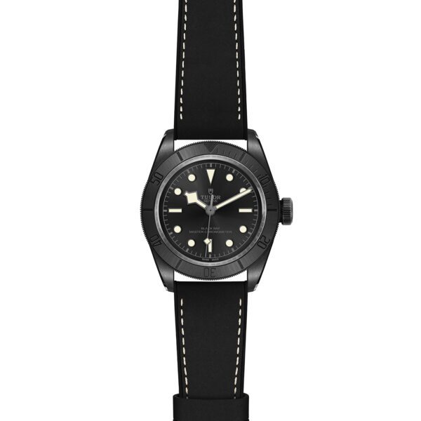 TUDOR Black Bay Bronze at Meridian Jewelers