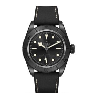 TUDOR Black Bay Bronze at Meridian Jewelers