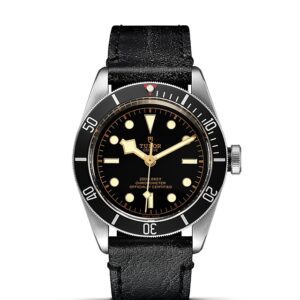 TUDOR Black Bay at Meridian Jewelers