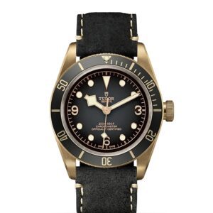 TUDOR Black Bay Bronze at Meridian Jewelers