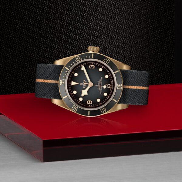 TUDOR Black Bay Bronze at Meridian Jewelers