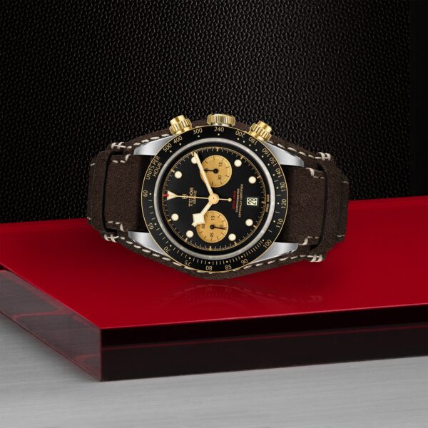 TUDOR Black Bay Chrono S&G at Meridian Jewelers