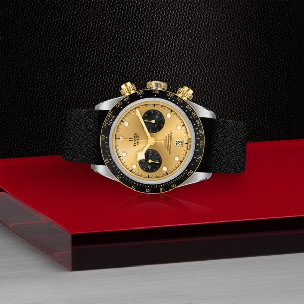 TUDOR Black Bay Chrono S&G at Meridian Jewelers