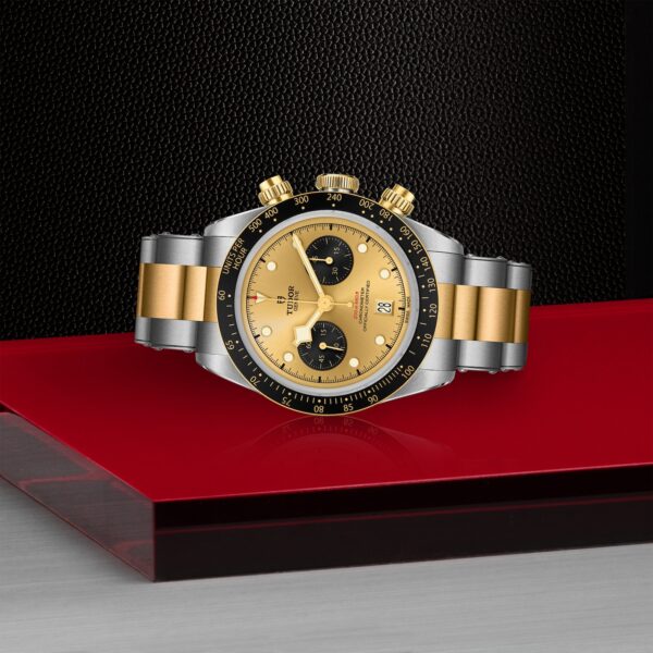 TUDOR Black Bay Chrono S&G at Meridian Jewelers