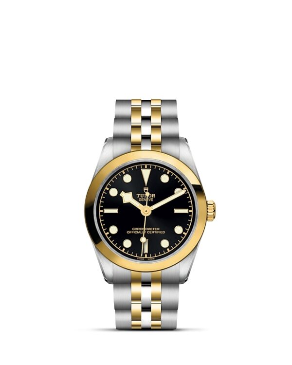 TUDOR Black Bay 31 S&G at Meridian Jewelers