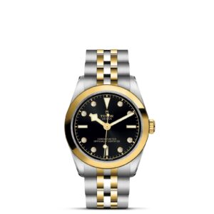 TUDOR Black Bay 31 S&G at Meridian Jewelers