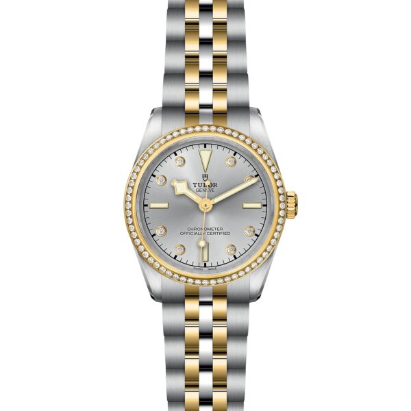 TUDOR Black Bay 31 S&G at Meridian Jewelers
