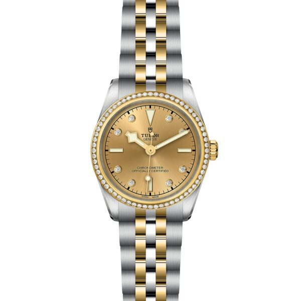 TUDOR Black Bay 31 S&G - Image 3