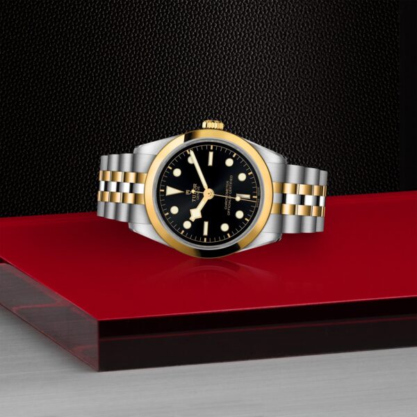 TUDOR Black Bay 36 S&G at Meridian Jewelers