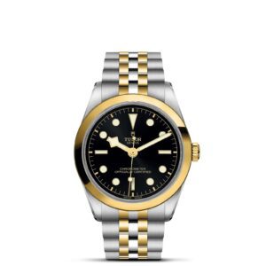 TUDOR Black Bay 36 S&G at Meridian Jewelers