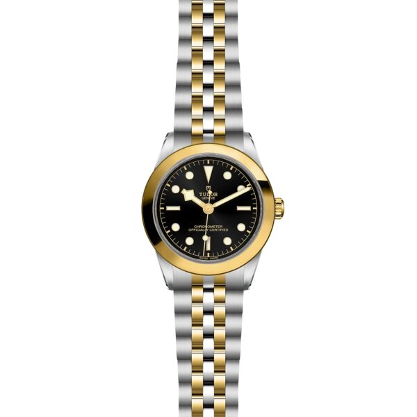 TUDOR Black Bay 39 S&G at Meridian Jewelers