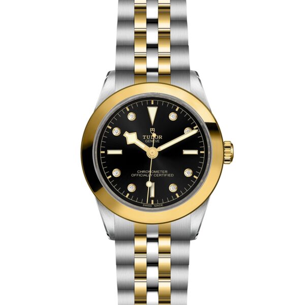 TUDOR Black Bay 39 S&G at Meridian Jewelers